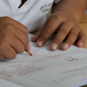 Stewards Primary Tuition